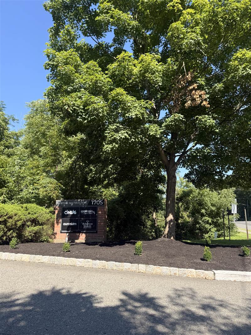 Community entrance planting bed