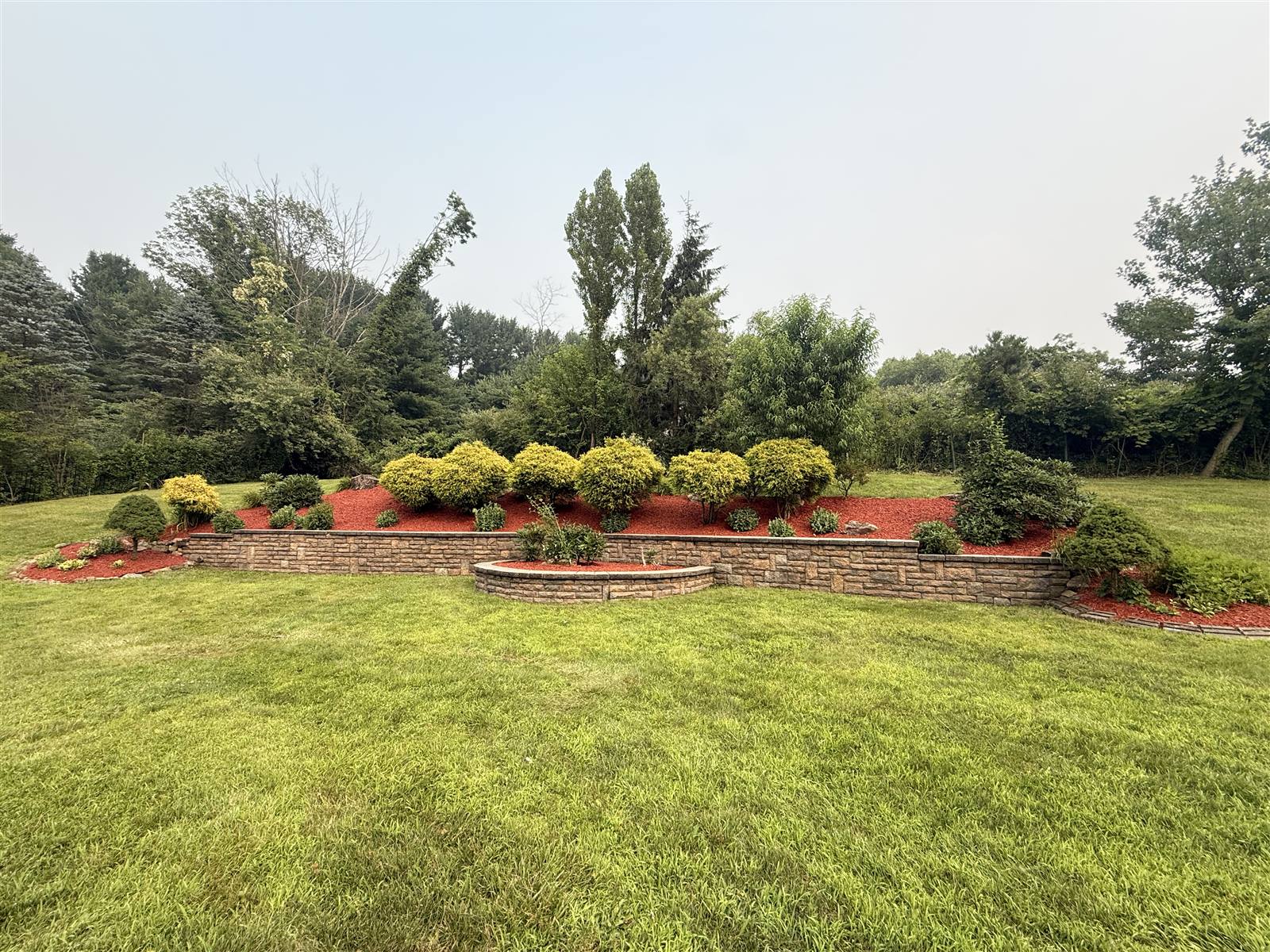 Landscaped berm with shrubs and mulch
