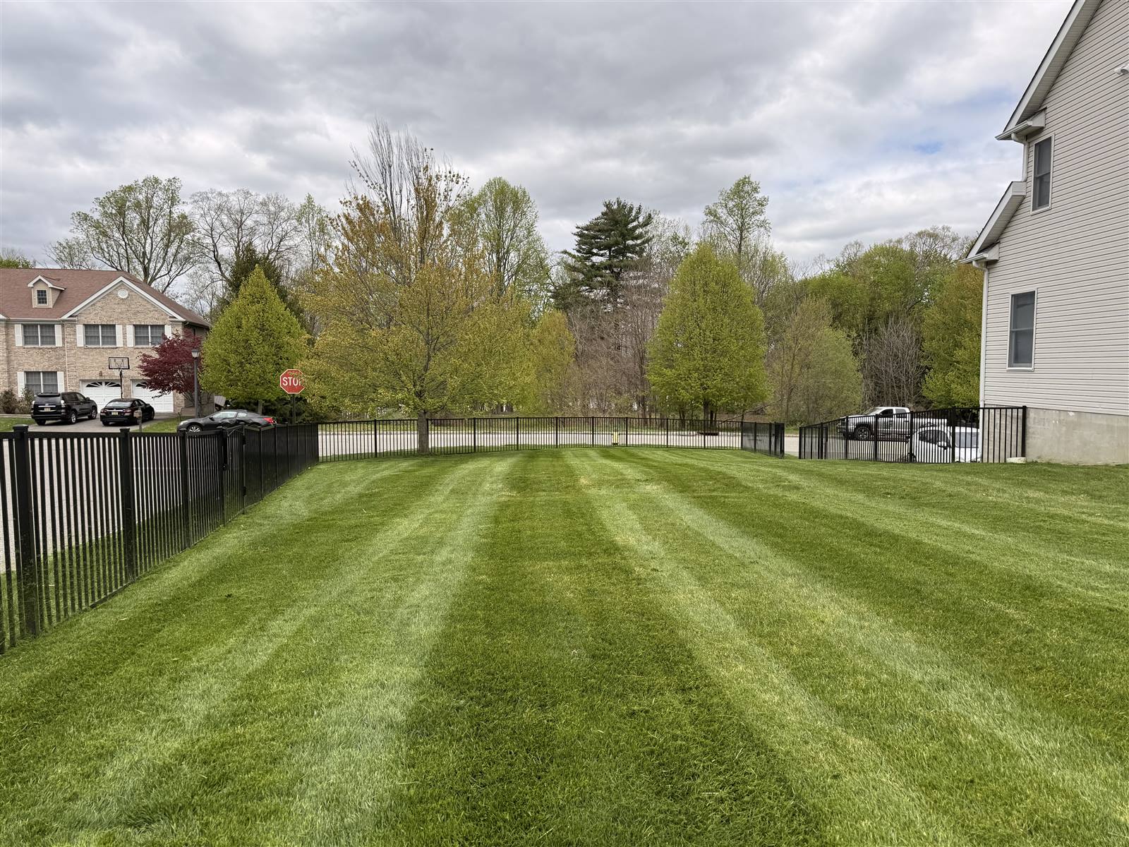 Freshly striped lawn