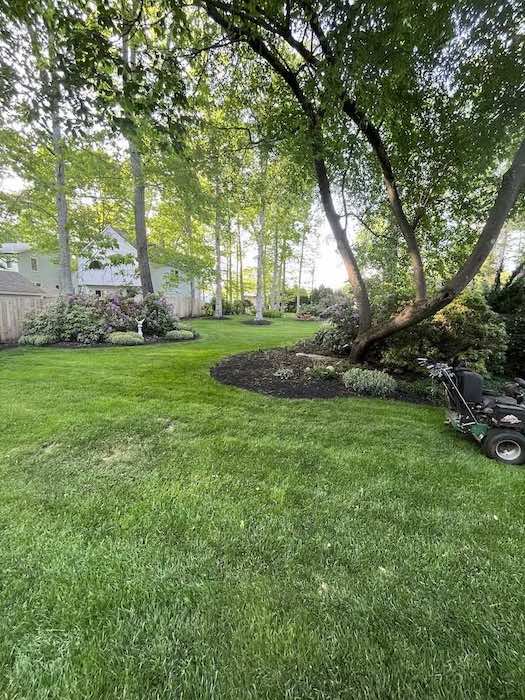 About Perez Landscping