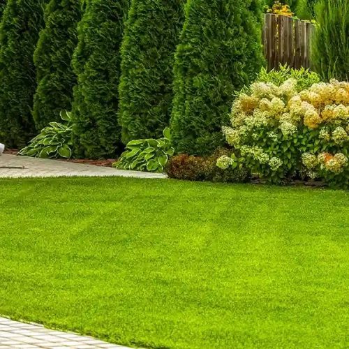 Professional-Lawn-Care-Services-Calgary-AB