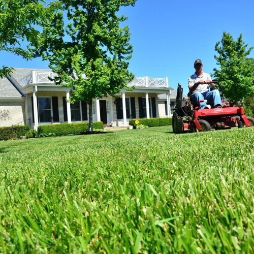 Professional Lawn Care
